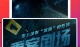 香水棋盘爆料视频大全下载,揭秘香氛世界的神秘面纱