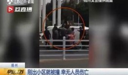 江苏女子爆料新闻视频大全,揭秘社会热点事件背后的真相